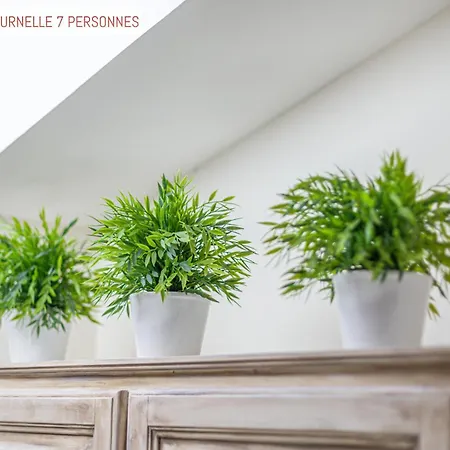 Le Passage 4* Carcassonne