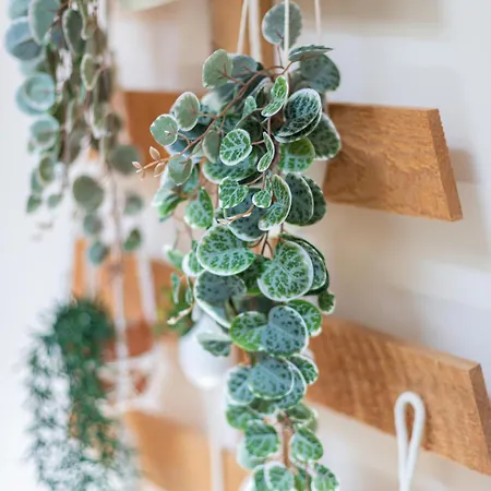 Panzió Le Passage 4*