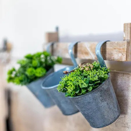 Le Passage Carcassonne