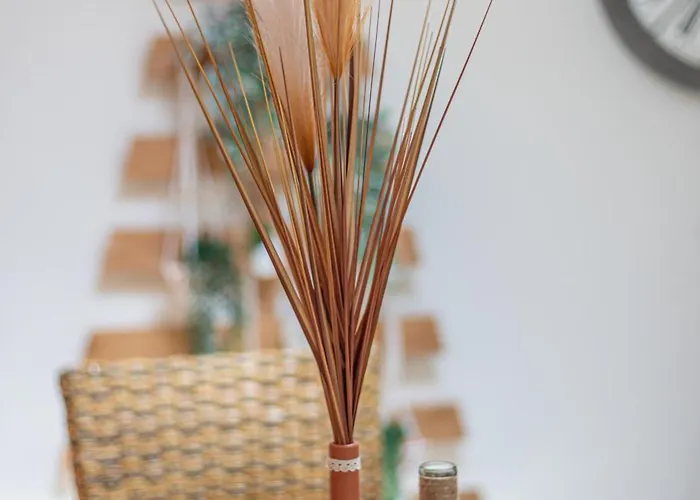 Le Passage Bed & Breakfast Carcassonne