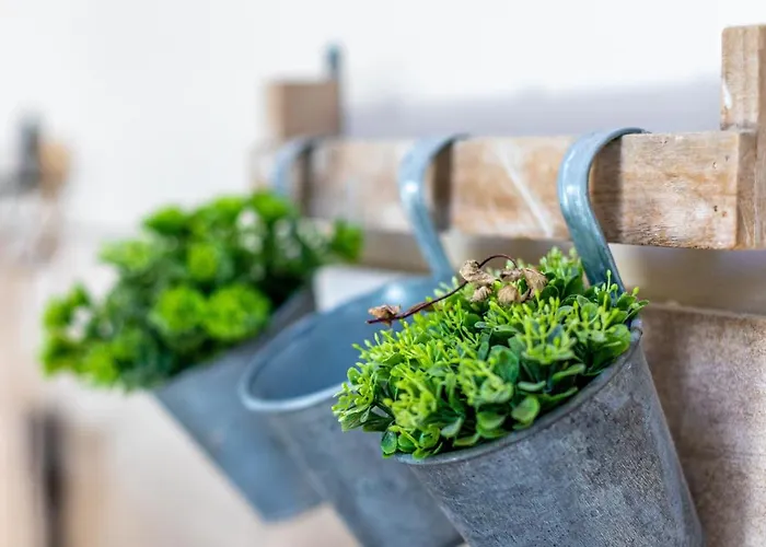 Le Passage Каркассон