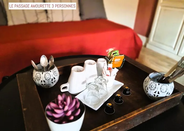 Le Passage 4* Carcassonne