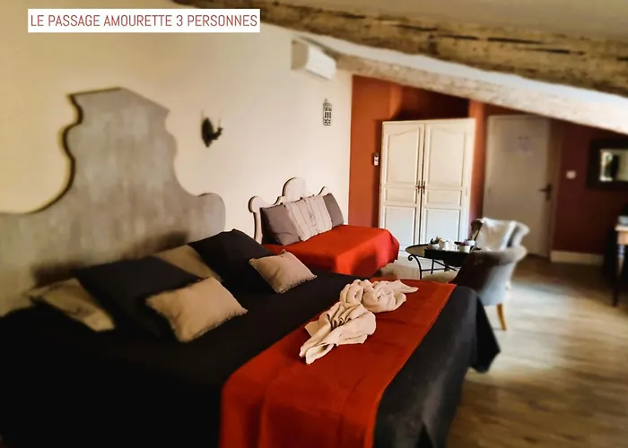 Le Passage Каркассон