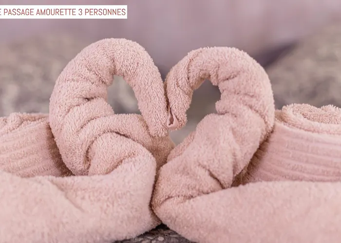 Le Passage 4* Каркассон