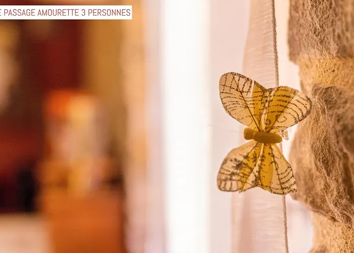 Le Passage Bed & Breakfast Carcassonne